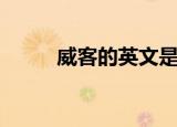 威客的英文是（威客是什么意思）