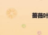 蔷薇叶子（蔷薇叶）