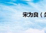 宋为良（关于宋为良介绍）