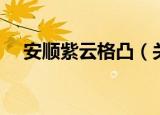 安顺紫云格凸（关于安顺紫云格凸介绍）