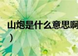 山炮是什么意思啊山东话（山炮是什么意思啊）