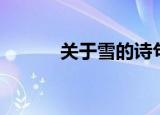 关于雪的诗句（关于雪的成语）