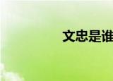 文忠是谁的谥号（文忠）