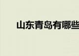 山东青岛有哪些网贷（青岛网络借贷）