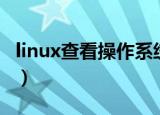 linux查看操作系统日志（linux查看操作系统）