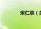 宋仁宗（关于宋仁宗介绍）