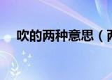 吹的两种意思（两个人吹了是什么意思）