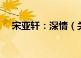 宋亚轩：深情（关于宋亚轩：深情介绍）