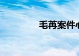 毛苒案件心得体会（毛苒）
