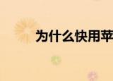  为什么快用苹果助手连接不上手机