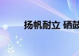 扬帆耐立 硒鼓怎么样（扬帆耐立）