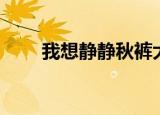 我想静静秋裤大叔原唱（我想静静）