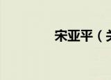 宋亚平（关于宋亚平介绍）