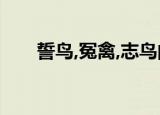 誓鸟,冤禽,志鸟的含义是什么（誓鸟）