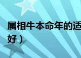 属相牛本命年的适合戴什么（本命年牛戴什么好）