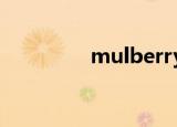 mulberrysilk是什么面料