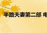 半路夫妻第二部 电视剧（半路夫妻第二部）