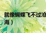 就像蝴蝶飞不过沧海全文（就像蝴蝶飞不过沧海）