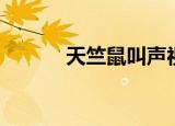 天竺鼠叫声视频（天竺鼠叫声）