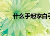 什么手起家白手起家（什么手起家）