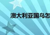 澳大利亚国鸟怎么读（澳大利亚国鸟）