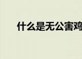 什么是无公害鸡蛋（无公害鸡蛋标准）