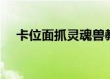 卡位面抓灵魂兽教程（卡位面抓灵魂兽）