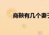 商鞅有几个妻子和儿女（商鞅之妻）