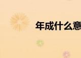 年成什么意思（年成的意思）