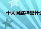 十大网络神兽什么意思（网络四大神兽）