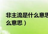 非主流是什么意思?现在叫什么（非主流是什么意思）