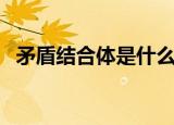 矛盾结合体是什么意思（合体是什么意思）