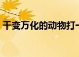 千变万化的动物打一生肖（千变万化的动物）
