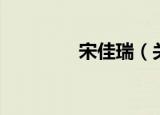 宋佳瑞（关于宋佳瑞介绍）