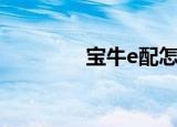 宝牛e配怎么样（宝牛e配）