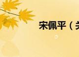 宋佩平（关于宋佩平介绍）
