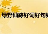 绿野仙踪好词好句好段（绿野仙踪好词好句）
