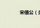 宋僖公（关于宋僖公介绍）
