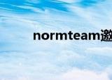 normteam邀请码（normteam）