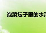 泡菜坛子里的水浑浊怎么回事（泡菜坛）