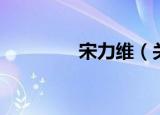 宋力维（关于宋力维介绍）