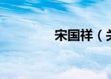 宋国祥（关于宋国祥介绍）