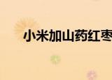 小米加山药红枣的功效（小米加山药）