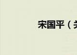 宋国平（关于宋国平介绍）