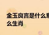 金玉良言是什么意思什么生肖,金玉良言是什么生肖