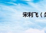 宋利飞（关于宋利飞介绍）