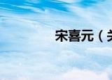 宋喜元（关于宋喜元介绍）