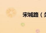 宋城路（关于宋城路介绍）