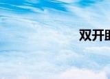  双开助手如何使用