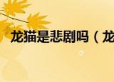 龙猫是悲剧吗（龙猫这辈子没这么害怕过）